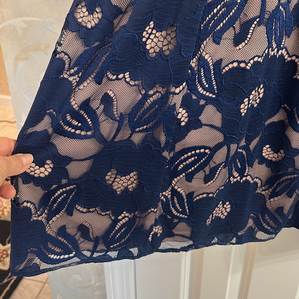 Adrianna Papell Navy Blue Lace Dress - Picture 6 of 13